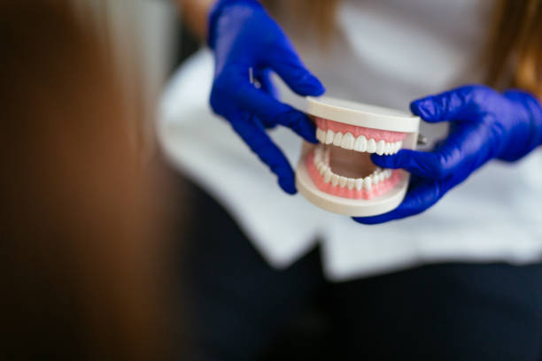 Best Periodontal (Gum) Disease Treatment  in Knox, IN